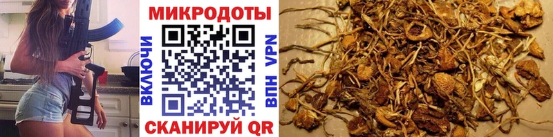 Псилоцибиновые грибы мухоморы  Чита 